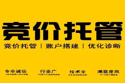 竞价代运营的技巧与经验：某大企业的成功之路